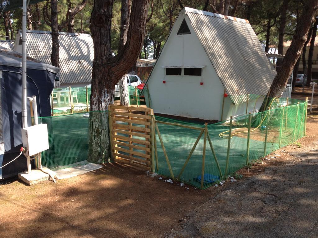 Olympos Beach بلاكا ليتوشورو المظهر الخارجي الصورة